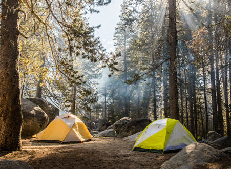 Camping in Yosemite National Park with two tents on flat ground