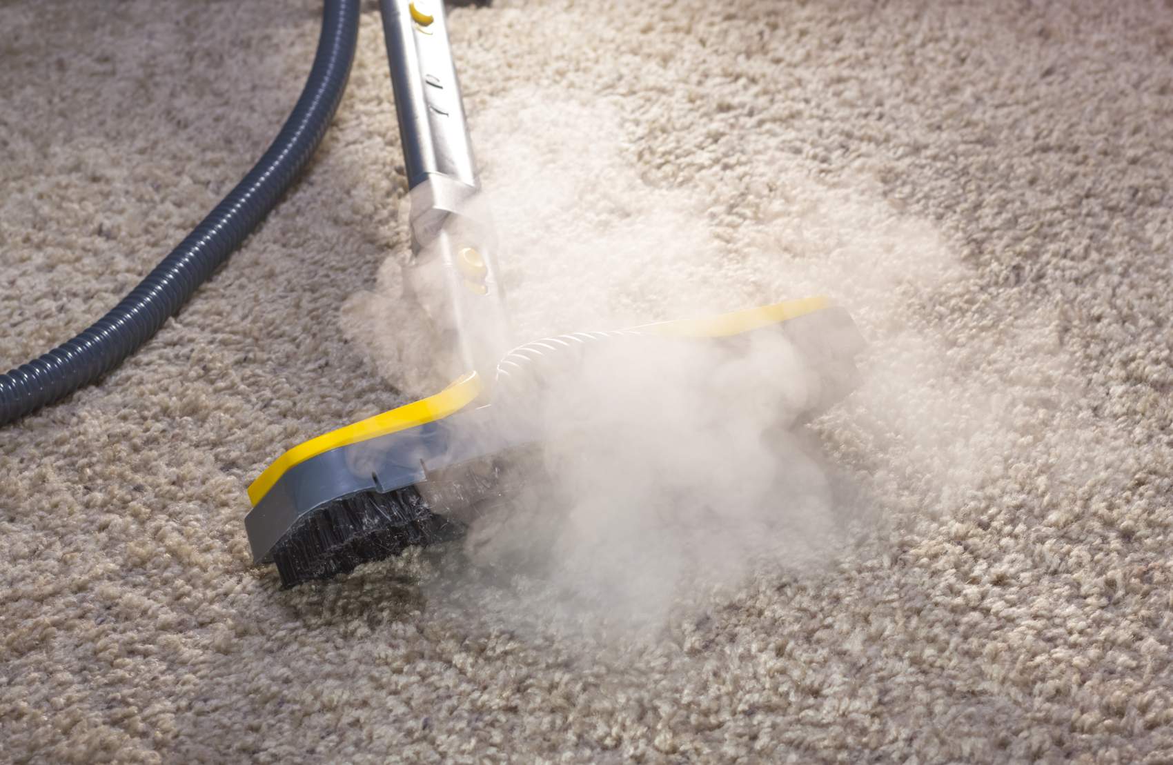 Steam clean carpet cleaning tip