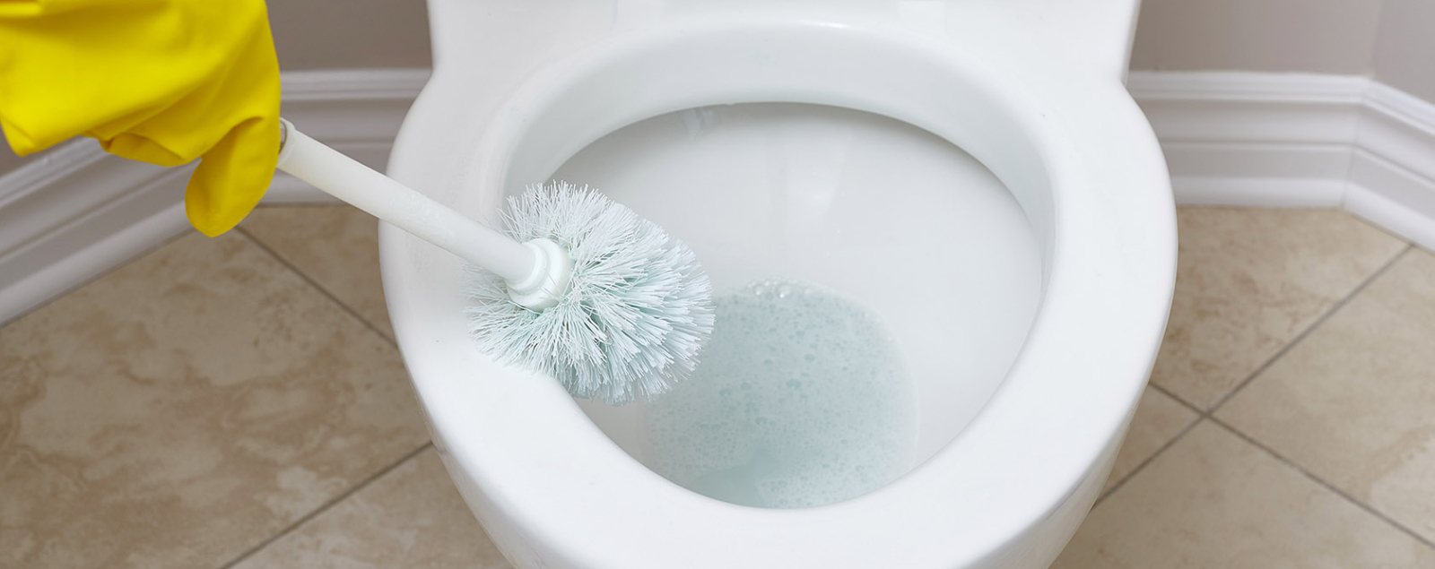 How to clean a toilet the right way